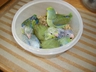 Baby Celestial Parrotlets