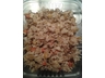 WILDHEARTS (CARIBBEAN SPICE)  250gms
