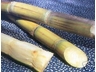 PARROT SUGAR CANE 300gms