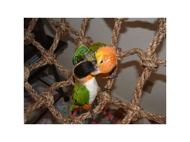 SMALL BIRD CARGO PLAY ROPE