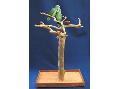 JAVA TREE MEDIUM