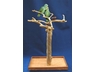 JAVA TREE MEDIUM