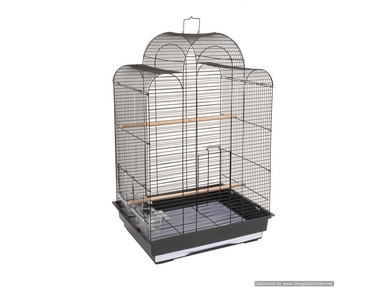 ST LUIS SMALL BIRD CAGE
