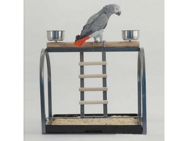 RAINFOREST TABLE TOP STAND
