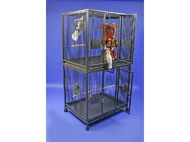 RIANFOREST PARROT DOUBLE