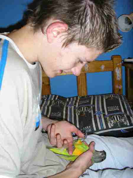 Tom and his baby h/r Senegal Parrot "Spike"