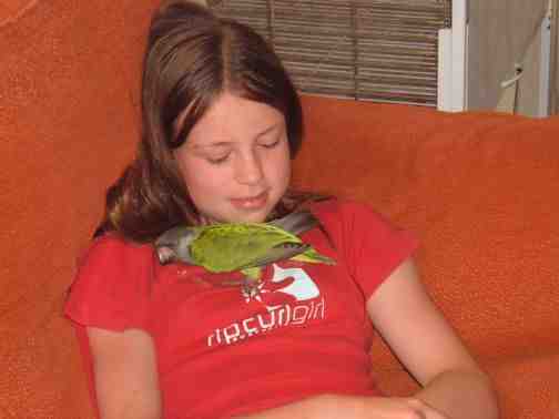 Mouse the baby senegal &amp; Lydia,both fast asleep on the chair